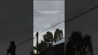 Download lagu story wa 30 detik lestari mp3 Download lagu story wa 30 detik lestari mp3