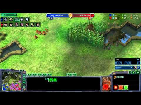 Forgg vs NerchioTvZ-旋风之镜-星际争霸2