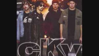 bam margera -eye of the tiger