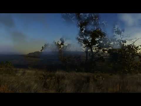 Toffes Värld & Nosa - För Dina Öron ( OFFICAL VIDEO )