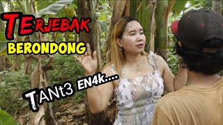 Download lagu In popcorn shirts mp3