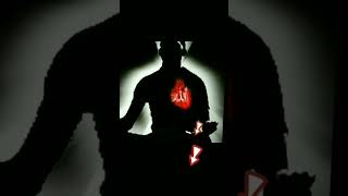 Download lagu Zikir hati sanubari mp3 Download lagu Zikir hati sanubari mp3