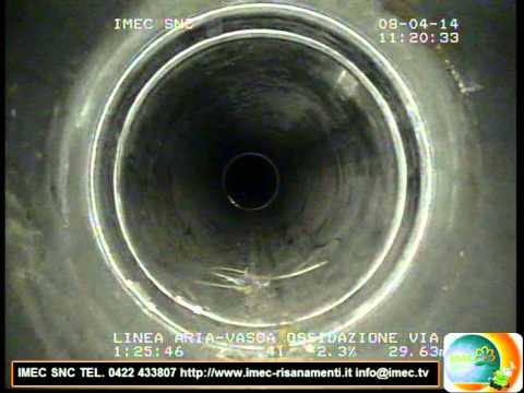 Mal di schiena e proprio tra le scapole Le prime articolazioni delle dita