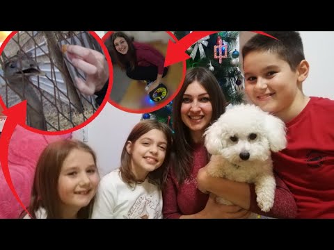 Dan u ZOO vrtu sa Hristinom kids *Tinu ugrizao NOJ*