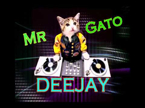 MESCLAS 2017 DJ MR GATO