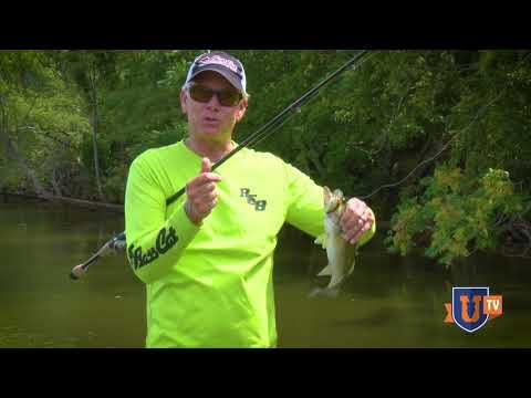 Cast Your CRANKBAIT INTO THE TREES! Squarebill Bass Fishing Secrets