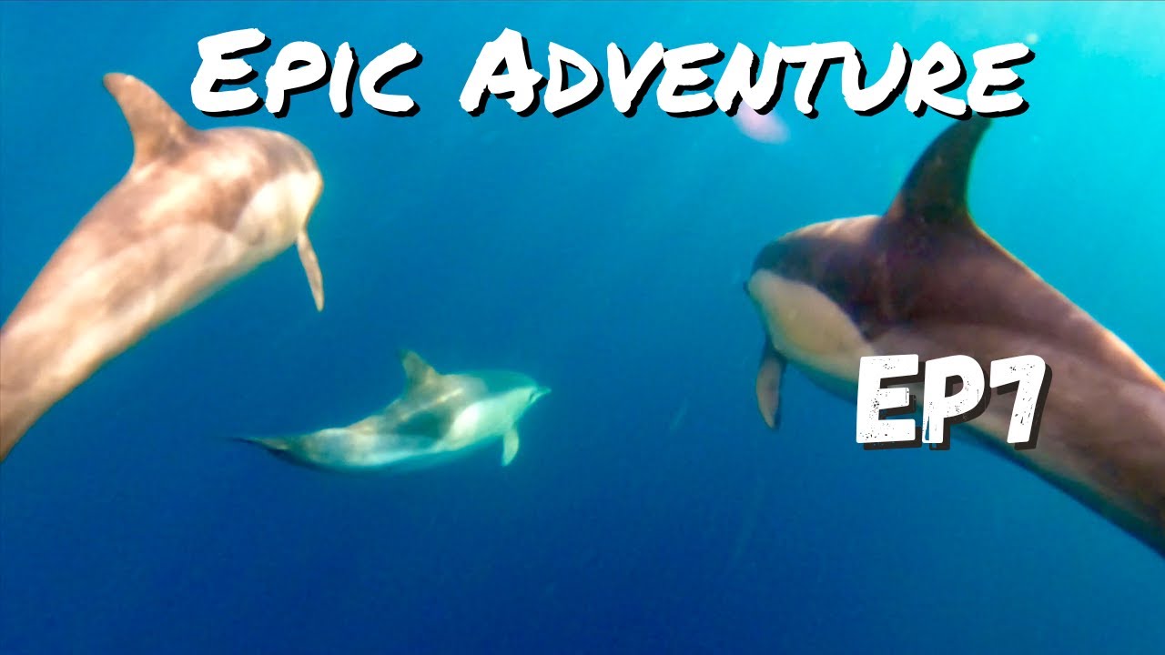 EPIC Adventure Ep7: Day of the Dolphins