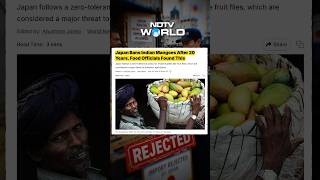 Download lagu Japan Bans Indian Mangoes mp3 Download lagu Japan Bans Indian Mangoes mp3