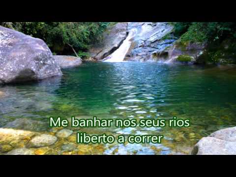 Ponto de Oxóssi Senhor Das Matas