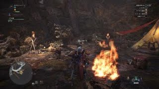 MH：W 火力を間違えたらしい