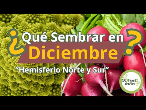 December Planting Guide: Northern & Southern Hemisphere Perma-Tips