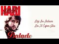 Hari Mata Hari Daj Još Jednom Da čujem Ti Glas Audio 1997 HD