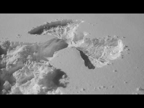 Angel in the snow - Lyric video