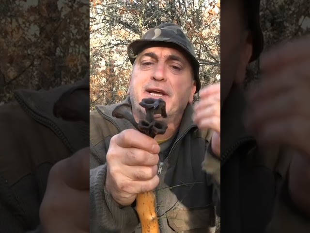 Vídeo relacionado con Porto Muíños Trompeta De La Muerte Deshidratada (Craterellus Cornucopioides) - 25 gr