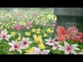 【Beautiful World】Soredemo Sekai wa Utsukushii Op ...