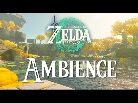 1 Hour of Relaxing Tears of the Kingdom Music Ambience Sounds ASMR