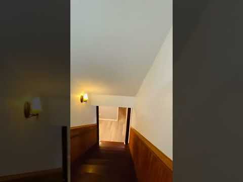 1529 W. Cary St. - Video 2 of 2