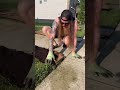 DIY No Dig Gardening Hack