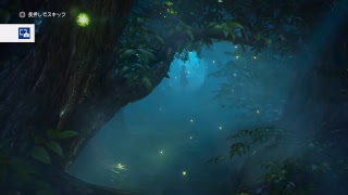 ルネアのドラゴンクエスト11悲しみの2周目　その1