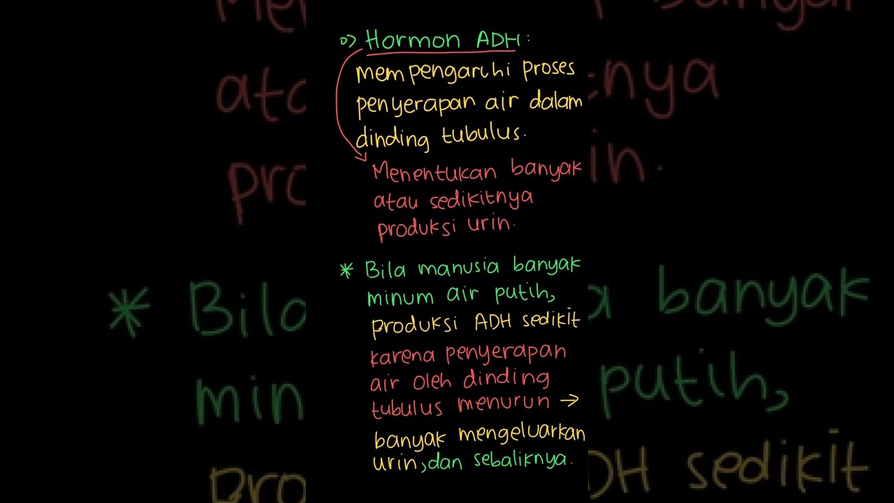 Bagairnana hormon antidiuretik dapat memengaruhi | PR Biologi Peminatan SMA | Kelas 11 | Biologi