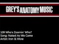 109 Iron & Wine - Naked As We Came 