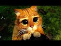El Gato Con Botas Ataca A Shrek Shrek 2 Clip En Español