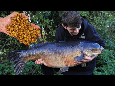How to Prepare Carp fishing particles