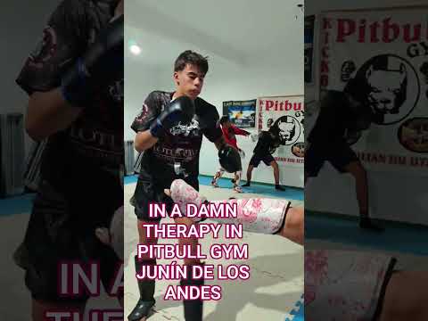 UN POCO DE THERAPY IN PITBULL GYM JUNÍN DE LOS ANDES