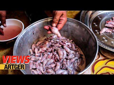 download lagu mp3 mp4 Sheep Testicles, download lagu Sheep Testicles gratis, unduh video klip Sheep Testicles