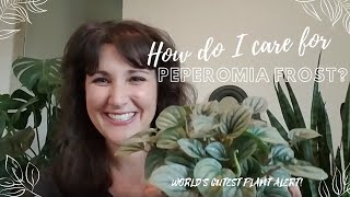 Peperomia Frost | Complete Care Guide