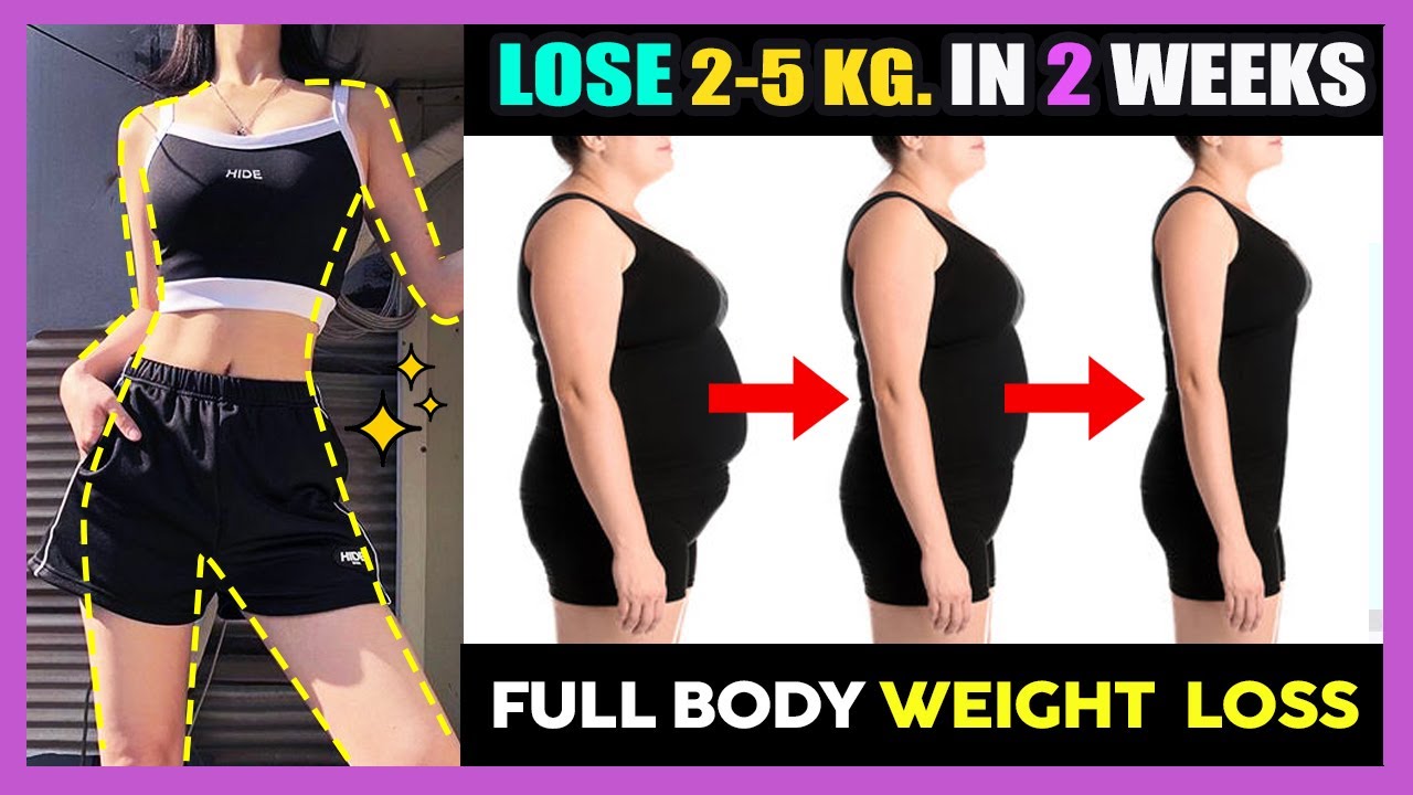 LOSING WEIGHT 2-5 KG. IN 2 WEEKS | EASY FULL BODY WEIGHT LOSS WORKOUT FOR BEGINNERS + OVERWEIGHT