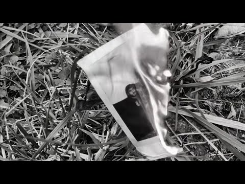 IV დასი (Petto) - ამ დანართებს 