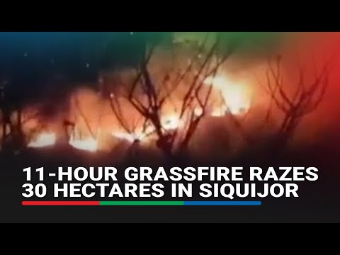 11-hour grassfire razes 30 hectares of grassland in Siquijor