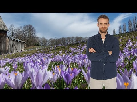 wetteronline.de: Wetter in 60 Sekunden (27.03.2017)