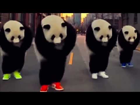 Never Give Up - Jaytronic (Sora Concept Video)