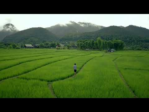 190915 A 04 Drone 128871