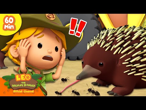 Witness21 Editor  2024 06 15