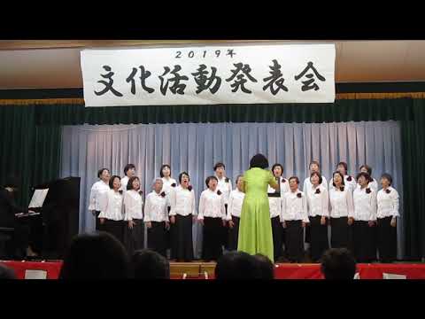 カナリヤ２０１９