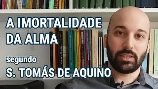 A IMORTALIDADE DA ALMA segundo São Tomás de Aquino