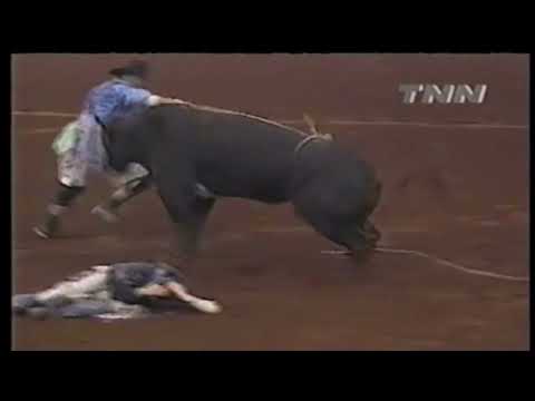 PBR 2000: In Law Knocks Out B.J. Kramps