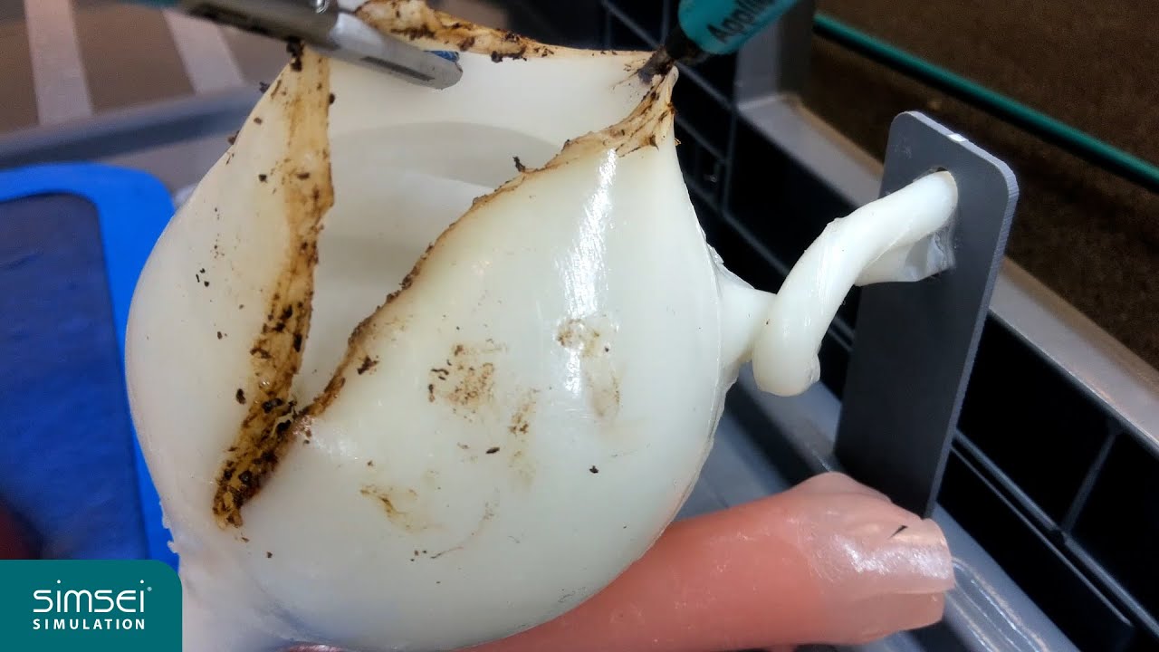 Simulated Cystectomy using Simsei Models with VeriSim Tissue