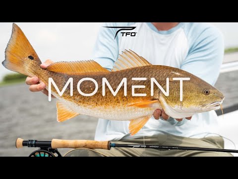 NEW | TFO MOMENT Fly Rod Series
