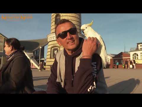 15.10.21 Besondere Mensch-Tier-Freundschaft: Kakadu Carlos und Frank Kluge gehen durch Dick und Dünn