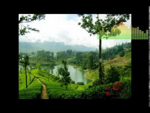 Seethala mal thuhina vasse   Wasanthi Shilpadipathi