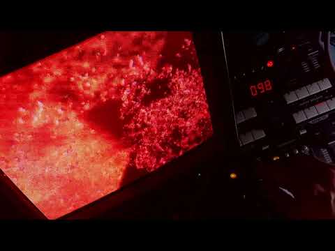 110424 Roland V-8 003