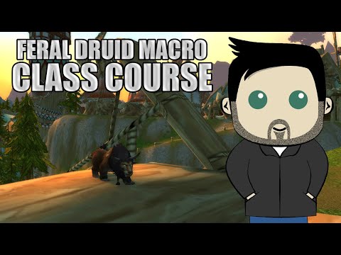 Class Course: A Feral Druid Rotation Guide for Beginners in BFA!