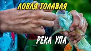 Рыбалка в тульской области отчеты водоемы пруды