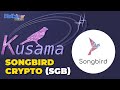 Is Songbird Crypto The Next Big Thing In Crypto Market?