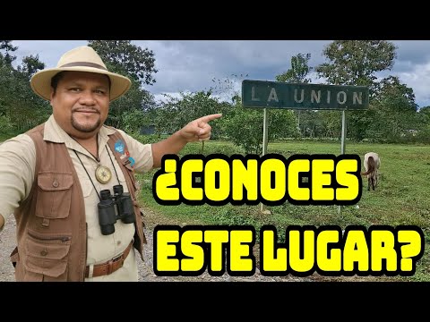 #Honduras y sus #campos #palmeros La #Unión #Tela #Atlántida 