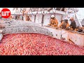 How Shrimp Are Caught & Processed | From Sea to the Shrimp Processing Factory